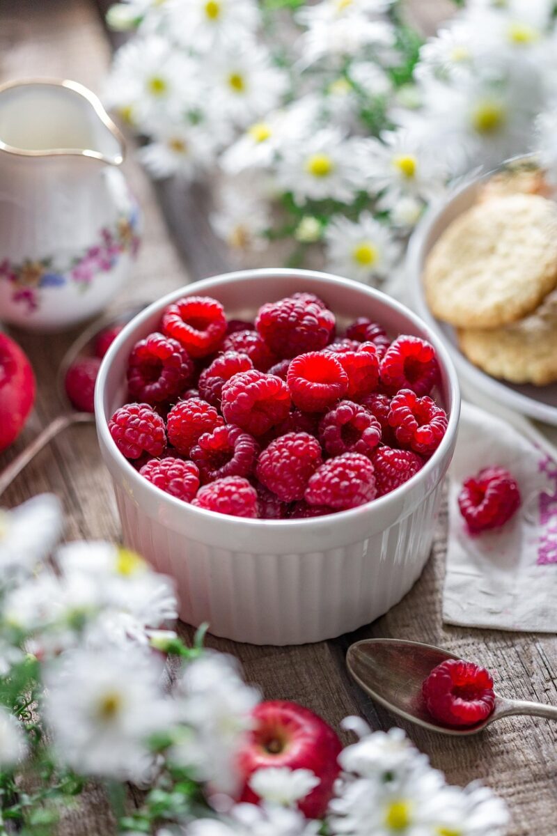 raspberry, berry, summer, garden, closeup, harvest, plate, nature, food, table, breakfast, fresh, vitamins, tasty